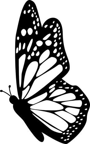 Butterfly side view with detailed wings free icon                                                                                                                                                                                 More Butterfly Side View, Butterfly Stencil, Butterfly Template, Butterfly Logo, Butterfly Clip Art, Butterfly Drawing, Stencil Patterns, Butterfly Crafts, Clipart Black And White