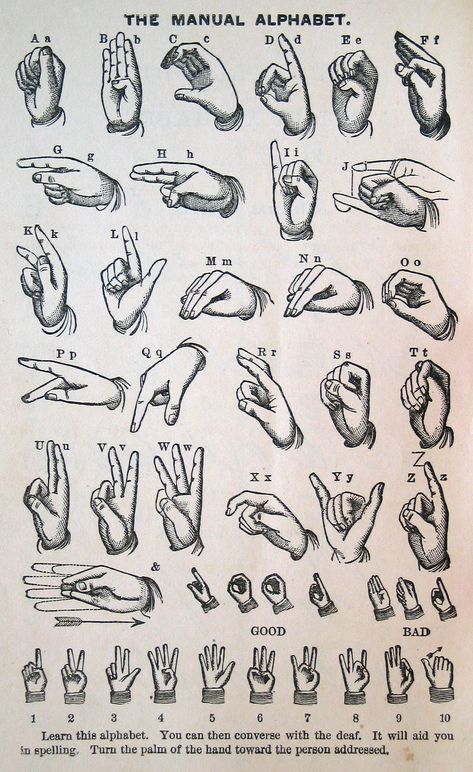 Learn Asl, Sign Language Chart, Sign Language Lessons, Sign Language Phrases, Alphabet Art Print, Sign Language Words, Asl Sign Language, Alphabet Code, Sign Language Alphabet