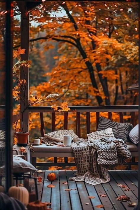 All Things Autumn, Aesthetic Fall Images, Fall Images Autumn Beautiful, Cute Fall Photos, Aesthetic Fall Photos, Seasons Aesthetic, Fall Living Room Ideas, Autumn Images, Autumn Photos