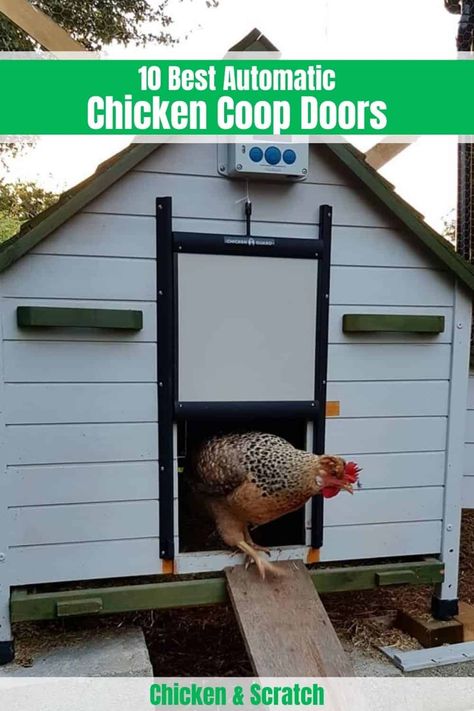 Automatic Chicken Door, Chicken Door, Automatic Door Opener, Chicken Coop Door, Coop Door, Ducks And Chickens, Automatic Chicken Coop Door, Easy Chicken Coop, Chicken Coop Decor