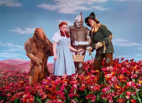 Wizard Of Oz Scenes, Wizard Of Oz Themed Wedding, Dorothy Wizard Of Oz Aesthetic, The Wizard Of Oz Aesthetic, Wizard Of Oz Aesthetic, Wizard Of Oz Art, Wizard Of Oz Film, Wizard Of Oz Pictures, Oz Aesthetic