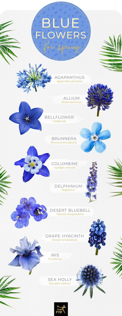 30 Types of Blue Flowers - FTD.com Types Of Flowers Drawing With Names, Blue Flower Tattoo Designs, Dark Blue Flower Tattoo, Royal Blue Flower Arrangements, Blue Carnation Bouquet, Royal Blue Flower Bouquet, Flower Names And Meanings, Types Of Flowers Tattoo, Blue Flowers Tattoo