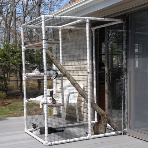 Catio - RYOBI Nation Projects Catio Plans, Diy Cat Enclosure, Ideas For Cats, Katt Grejer, Cat Fence, Cat Patio, Outdoor Cat Enclosure, Cat House Diy, Cat Run