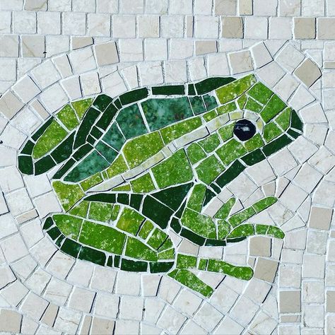 Mosaic Republic on Instagram: “Ribbit #mosaic #mosaics #mosaico #mosaicart #art #artisan #handmade #creative #melbourne #luxedecor #design #designer #maximalism…” Dolphins Mosaic, Mosaic Stepping Stone, Mosaic Tiles Crafts, Deco Marine, Luxe Decor, Mosaic Flower Pots, Mosaic Animals, Tile Crafts, Mosaic Art Projects