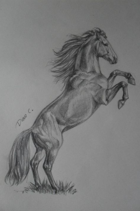 Easy Horse Drawing, Horse Pencil Drawing, Horse Art Drawing, Horse Running, Horse Sketch, Realistic Pencil Drawings, Animal Drawings Sketches, Horse Artwork, Horse Tattoo