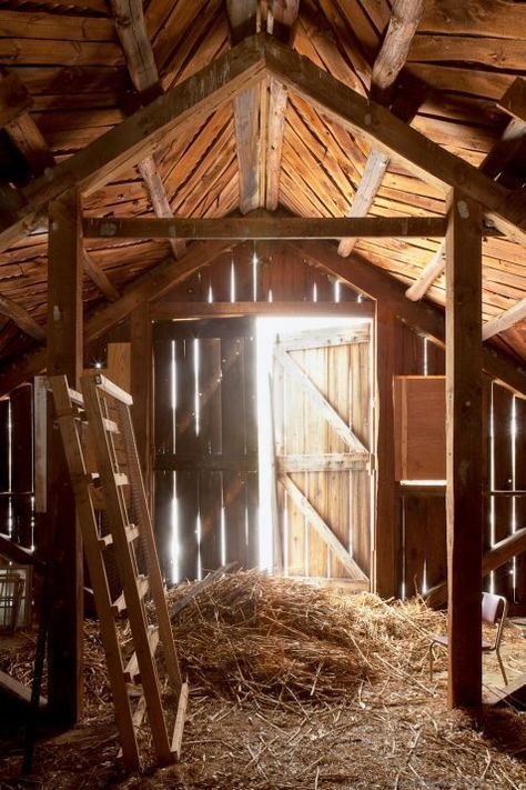 Old Barn Aesthetic, Barn Core, Barn Aesthetic, Working On A Farm, Western Door, Cow Barn, Barn Interior, Farm Lifestyle, Last Ride