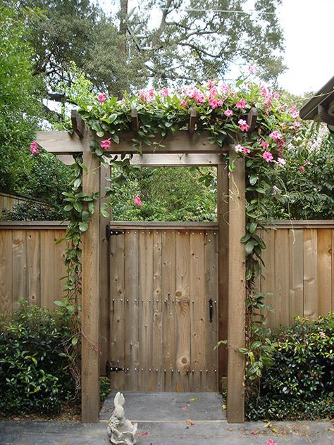 Backyard Gates, Privacy Fencing, Garden Gates And Fencing, Yard Gate, Garden Gate Design, Fence Gate Design, Wooden Gate, Garden Entrance, Backyard Fences