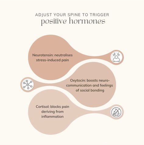 Did you know that every time you get adjusted, your brain gets flooded with “feel good” hormones? Here are a few: 🌟Endorphin Release: Chiropractic adjustments can trigger the release of endorphins, which are the body’s natural painkillers and mood enhancers. These hormones help reduce pain and create a sense of well-being. 🌟Dopamine Boost: Adjustments may increase dopamine levels in the brain. Dopamine is associated with pleasure, reward, and motivation, leading to improved mood and ener... Increase Dopamine Levels, Increase Dopamine, Body Studies, Spinal Health, Gate City, Body Study, Chiropractic Adjustment, Spine Health, Mood Enhancers