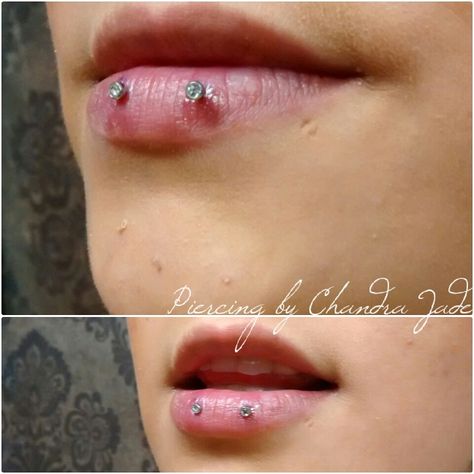 Double inverse lip piercing I did with 2.5mm cz ends #piercingbychandrajade… Double Ashley Piercing Lip, Double Ashley Piercing, Double Lip Piercing, Dallas Tattoo, Ashley Piercing, Lip Piercings, Piercings Ideas, Piercing Inspo, Cute Piercings