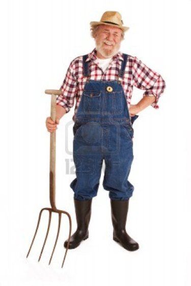 Farmer Clothes, Farmer Gnome, Farmer Halloween, Farm Costumes, Farmer Costume, Farmer Fashion, Farmer Outfit, Life Size Cutouts, Cardboard Cutout