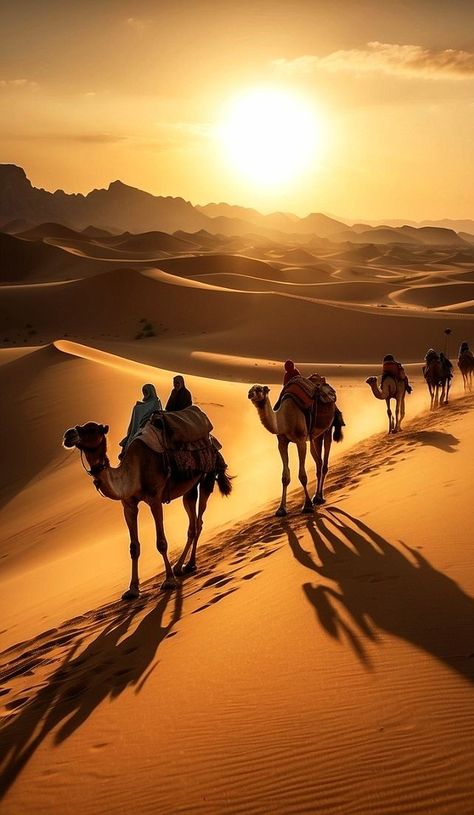 Camels In The Desert, Camel Photography, Camel In Desert, Camel Painting, African Animals Photography, Desert Sand Dunes, Camels Desert, People Traveling, Arabian Desert