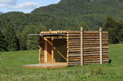 Log Cabin Lighting, Art Bio, Buy A Tiny House, Backyard Getaway, Tiny House Nation, White String Lights, Cabin Lighting, Minimal Living, Wood Architecture