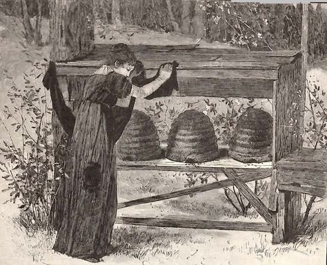 Telling the Bees: A Medieval Funeral Tradition - SevenPonds BlogSevenPonds Blog Bee Family, Bee Swarm, Bee Skep, Bee Keeper, Vintage Bee, Bee Garden, Bee Art, Bees Knees, Bee Happy