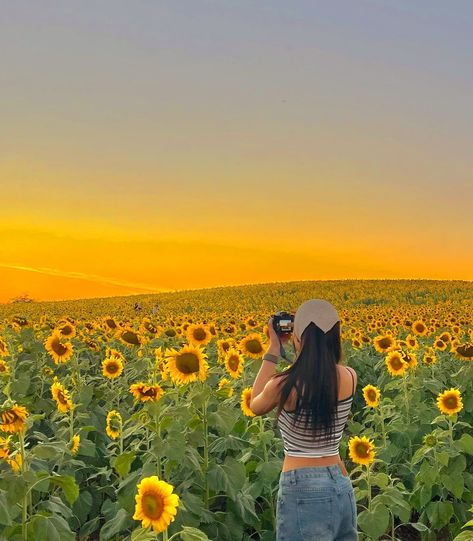 Sunflower Garden Photoshoot, Sunflower Photoshoot Ideas, Sunflower Field Aesthetic, Sunflower Poses, Sunflower Field Pictures, Sunflower Photoshoot, Jelly Wallpaper, Flower Photoshoot, Sunflower Pictures