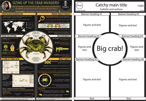 Scientific Poster Design, Conference Poster, Scientific Poster, Rule Of Thirds, Twitter Handles, Stick It Out, Earthy Colors, Cool Posters, Poster Design