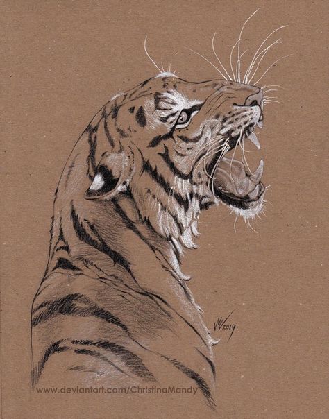 Brown Paper Art Drawing, Brown Paper Drawing, Toned Paper Drawing, Tiger Sketch, Tiger Drawing, Animal Illustration Art, Animal Study, Tiger Art, Toned Paper