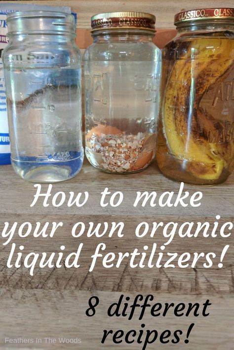 Organic liquid fertilizers in jars, homemade Homemade Plant Fertilizer, Garden Hack, Organic Liquid Fertilizer, Diy Fertilizer, Garden Hacks Diy, Garden Prepping, Kitchen Scraps, Garden Fertilizer, Money Frugal