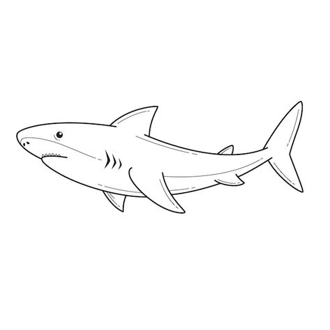 Drawing Shark Easy, Shark Illustration Art, Great White Shark Drawing Easy, Shark Tattoo Ideas Simple, Sea Animal Line Art, Shark Illustration Design, Shark Sketch Easy, Great White Shark Tattoo Simple, Simple Sea Animal Drawing