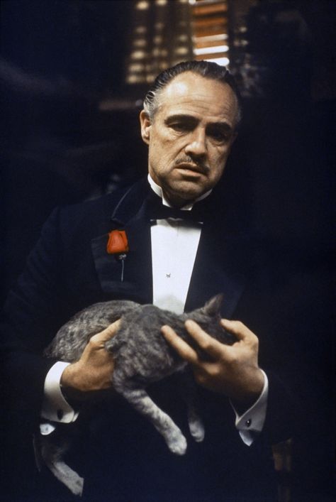 Pauline Kael Reviews “The Godfather” | The New Yorker The Godfather Wallpaper, Sonny Corleone, Godfather 1, The Godfather Poster, The Godfather 1972, Don Vito Corleone, Don Corleone, Godfather Movie, Sir Anthony Hopkins