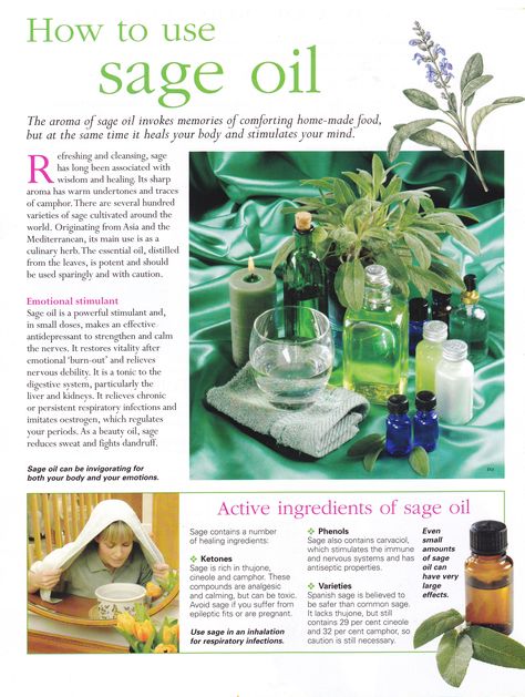 How to use Sage oil How To Use Sage, Essential Oils Herbs, Sage Essential Oil, Sage Oil, Herbal Healing, Oil Uses, Aromatherapy Oils, Essential Oil Uses, Healing Herbs