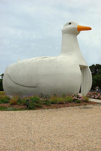 Novelty Architecture, Wonky Architecture, Large Duck House, Giant Duck Plush, Big Duck Plush, Goose Sculpture, Ceramic Ducks Sculpture, Big Duck, Ny Trip