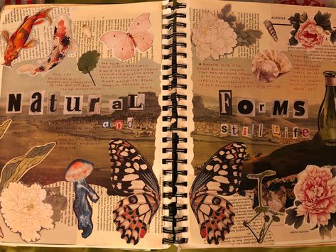 A Level Art Sketchbook Nature, Art Gcse Natural Forms Title Page, Fragments Title Page Gcse, Nature Title Page, Natural Forms A Level, Natural World Art Gcse Title Page, Natural Forms Title Page Gcse, Natural Form Art Gcse, Title Pages Art Gcse