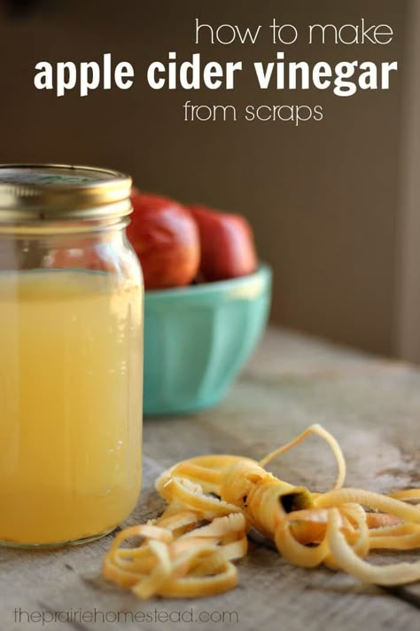 Homemade Apple Cider Vinegar, Vinegar Diet, Apple Cider Vinegar Diet, The Prairie Homestead, Make Apple Cider Vinegar, Apple Cider Vinegar Recipes, Prairie Homestead, Homemade Apple Cider, Cold Sores Remedies