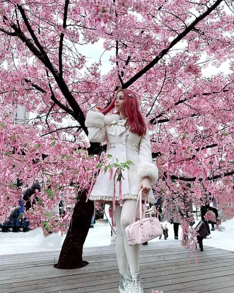 🎀🌸 Early blooming cherry blossom at Sakura Jingu Instagram, March 20, Korean Outfits, Cherry Blossom, Blossom, Cherry, On Instagram, Quick Saves