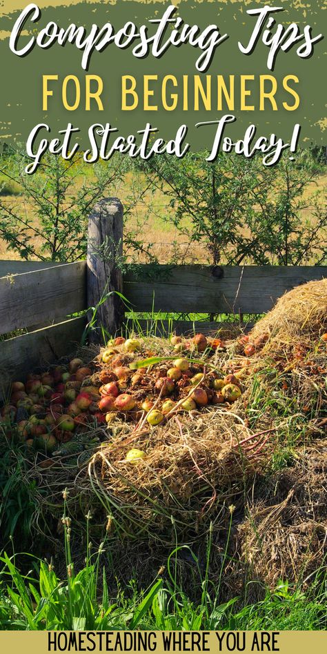 If you want a vegetable garden, compost is a must-have. It adds all the nutrients needed to grow veggies. Composting for beginners is easy; here is what you need to know to get started. Composting For Beginners, Apartment Composting, How To Start Composting, Start Composting, Tumbling Composter, Compost Bin Diy, Compost Pile, Diy Compost, Composting Process