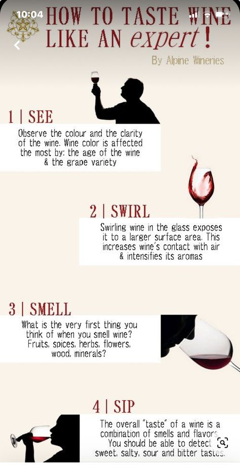 Wine Chart, Wine Testing Ideas, How To Taste Wine, How To Drink Wine Properly, Wine Information, Wine Etiquette, Wine Basics, Wine Cheese Pairing, Wine Industry