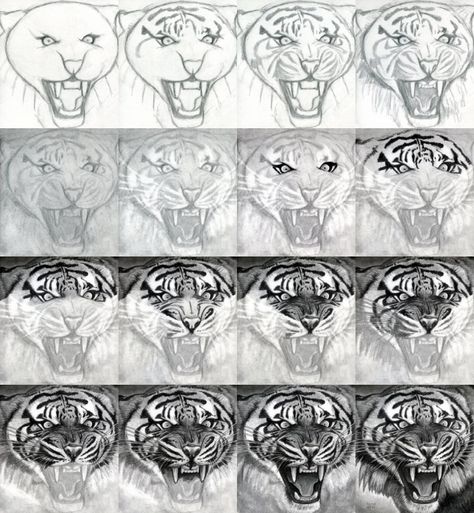 Realistic Face Drawing, Animal Sketch, Tiger Drawing, Pencil Drawing Tutorials, Tiger Face, Desenho Tattoo, Learning Ideas, Animals Artwork, Drawing Tutorials