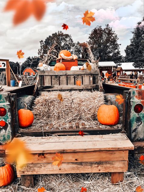 #fall #hayride #cozyfall #halloween Hayride Aesthetic, Fall Hayride, Festival Pics, Fall Romance, Maple Creek, Hay Ride, Harvest Fest, Fall Fest, Fall Things