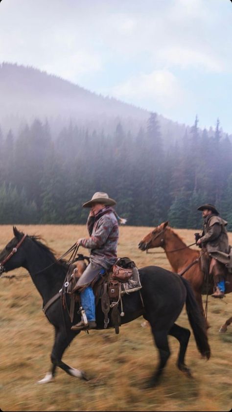 Catherine Cowles, Horses Western, Cowboy Aesthetic, Rodeo Life, Western Life, Cowgirl Aesthetic, Western Riding, Horse Aesthetic, Country Lifestyle