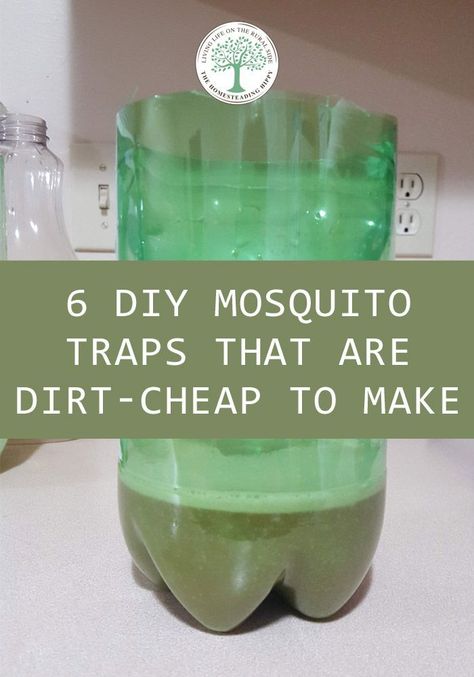 6 mosquito traps made with cheap materials you have lying around, such as vinegar, baking soda, sugar, banana peels, and dry yeast. #thehomesteadinghippy #diy #traps #mosquitoes Mosquito Trap Homemade, Flies Trap Diy, Mosquito Trap Diy, Mosquitoes Repellent, Fruit Fly Trap Diy, Mosquito Yard Spray, Diy Bug Repellent, Mosquito Repellent Candle, Mosquito Repellent Homemade