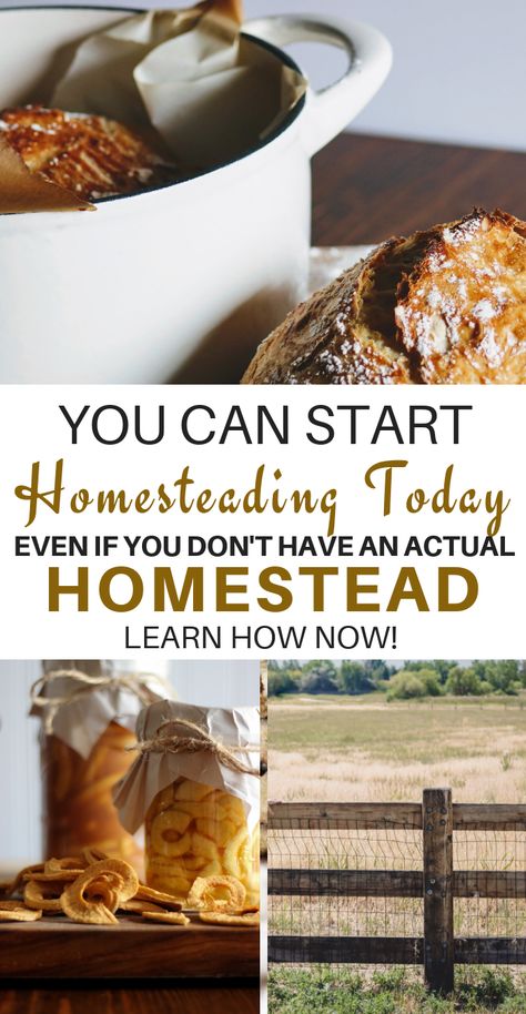 Start Homesteading, Homesteading For Beginners, Homestead Inspiration, Self Sufficient Homestead, Happy Homemaking, Modern Homesteading, Homesteading Ideas, Homemade Pantry, Homesteading Diy