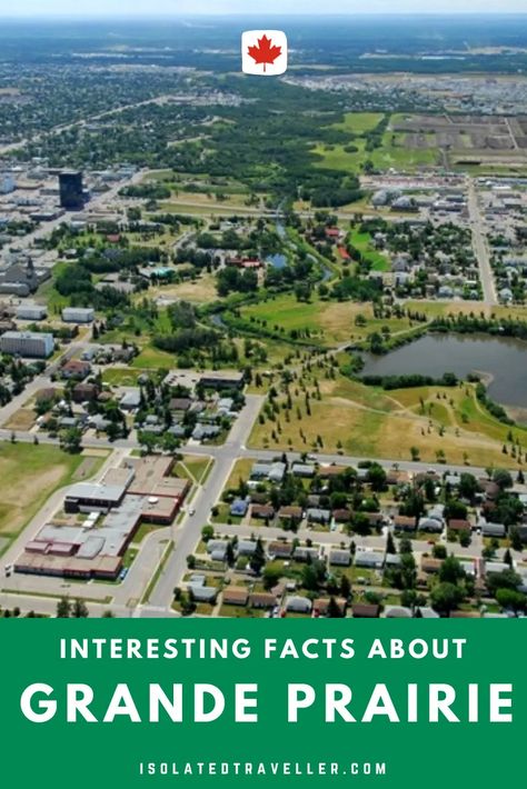 10 Interesting Facts About Grande Prairie 1 Grande Prairie Alberta, Trumpeter Swan, Peace River, 10 Interesting Facts, Grand Prairie, Winter Games, Alberta Canada, West End, Interesting Facts