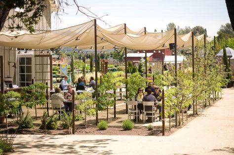 8 Farm-to-Table Restaurants Rancher Life, Napa Valley Restaurants, Napa Restaurants, Lavender Nursery, Barn House Kits, Farm Cafe, Farm Restaurant, Banana Stand, Farm Market