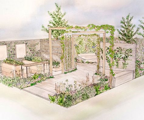 Backyard Vineyard, Croquis Architecture, Garden Shed Interiors, Dutch Gardens, Landscape Design Drawings, Urban Design Architecture, Landscape Architecture Drawing, Hillside Landscaping, Garden Drawing