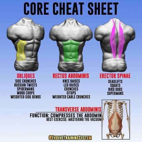 Compound Movements, Medicine Ball Workout, Trx Training, Weight Training Workouts, Medicine Ball, Workout Chart, Back Muscles, Gym Workout Tips, An Article