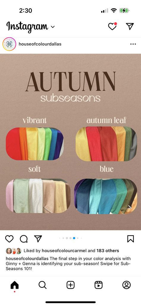 Blue Leaf Autumn, House Of Colour Dark Blue Autumn, Bold Autumn Color Palette, House Of Color Blue Autumn, Vivid Autumn Color Palette, House Of Colour Autumn Leaf, House Of Colour Blue Autumn, Strong Autumn Color Palette, Leaf Autumn Color Analysis