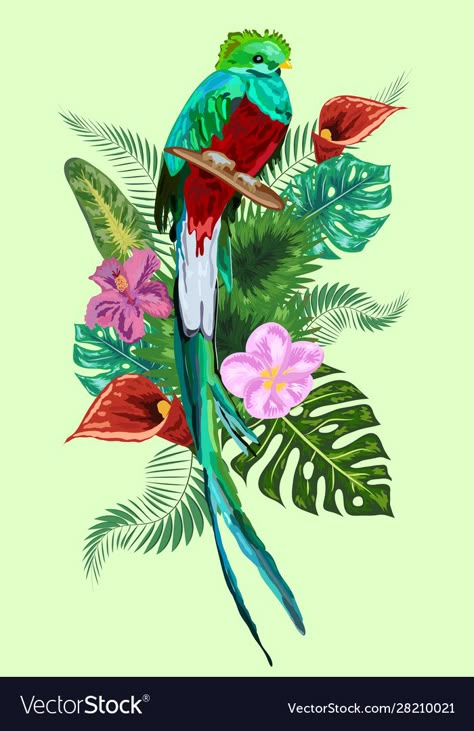 Quetzal Tattoo, Quetzal Green, Quetzal Bird, Guatemalan Art, Costa Rica Art, Water Lily Tattoos, Hispanic Art, Symbol Of Freedom, School Murals