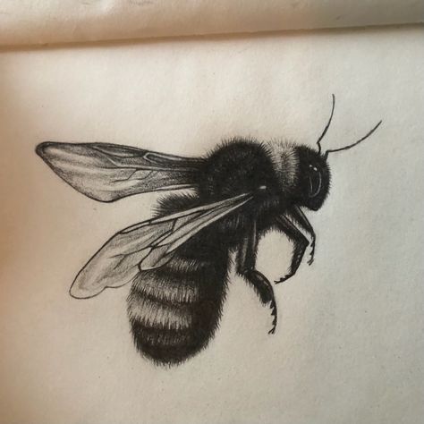 #art #graphitedrawing #drawing #bee #bumblebee #blackandwhite #sketch #sketchbook Draw Bee, Lino Ideas, Bee Sketch, Poison Garden, Bumble Bee Tattoo, Piercings Ideas, Bee Drawing, Bee Tattoo, Graphite Drawings