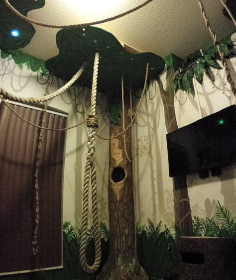 Kinkajou Habitat, Sloth Habitat, Parrot Habitat, Monkey Room, Parrot Pet, Dog Hotel, Bird Aviary, Animal Pen, Parrot Cage