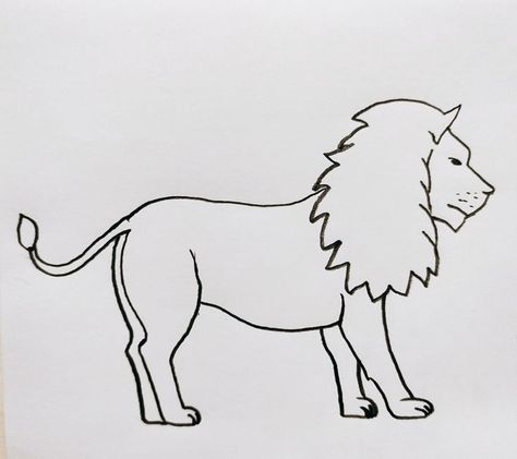 Lion Outline Drawing Drawings step by step for kids #drawingsstepbystepforkids Drawing ideas #drawingideas Drawing ideas for kids #drawingideasforkids 3.20 Lion Drawing For Kids, Lion Drawing Easy, Lion Outline, Lion Drawing Simple, Lions For Kids, Christmas Drawings For Kids, Drawing Ideas For Kids, Animals Drawing, Lion Drawing