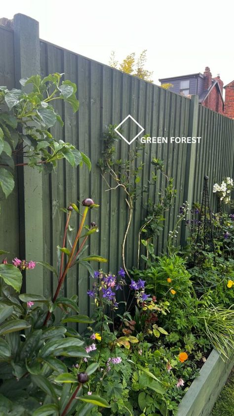 Garden Fence Paint Colour Trends for 2024 - shop.hmgpaint.com Sage Fence Garden, Colored Fence Ideas, Garden Fence Makeover, Fence Paint Colours Garden Ideas, Painted Backyard Fence, Green Fence Garden, Painted Fence Ideas Colour, Fence Painting Ideas Colour, Dark Green Fence