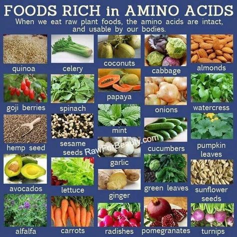 plant amino acids | Plant based foods rich in amino acids ♡ Amino Acids Food, Coconut Quinoa, Cucumber Seeds, Nutritious Snacks, 200 Calories, Amino Acid, Eating Raw, Goji Berries, Vegetarian Diet