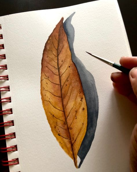 A realistic brown fall leaf painted with watercolors Autumn Leaves Art Drawing, Watercolour Leaf Tutorial, Dry Leaf Painting, Realistic Leaf Drawing, Easy Fall Watercolor, Leaf Painting Acrylic, Maple Leaf Drawing, Leaf Watercolor Painting, Fall Leaves Drawing