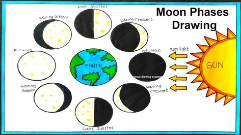 phases of the moon drawing simple and easy Easy Moon Drawing, Moon Drawing Simple, Moon Phases Drawing, The Moon Drawing, Science Drawing, Phases Of The Moon, Moon Drawing, Drawing Simple, Easy Science