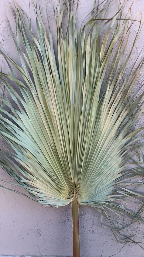 Palm Leaf Decor, Christmas Tree Decorating Tips, Palm Frond Art, Rainbow Wall Decor, Eco Decor, Boho Leaves, Interior Decorating Tips, Dried Flower Wreaths, Hippie Wedding