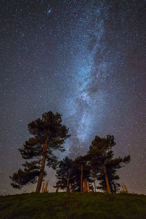 Milky Way over Colmer's Hill Stargazing Pictures, Milky Way From Earth, Long Exposure Photos, Dorset Coast, Jurassic Coast, Starry Nights, Milky Way Galaxy, The Milky Way, Yahoo News